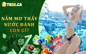 Nằm mơ thấy nước đánh con gì?