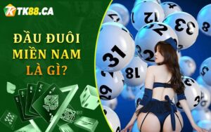 Đầu đuôi miền Nam là gì?